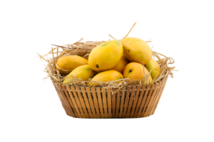 100% Premium Quality Garden Fresh Mango